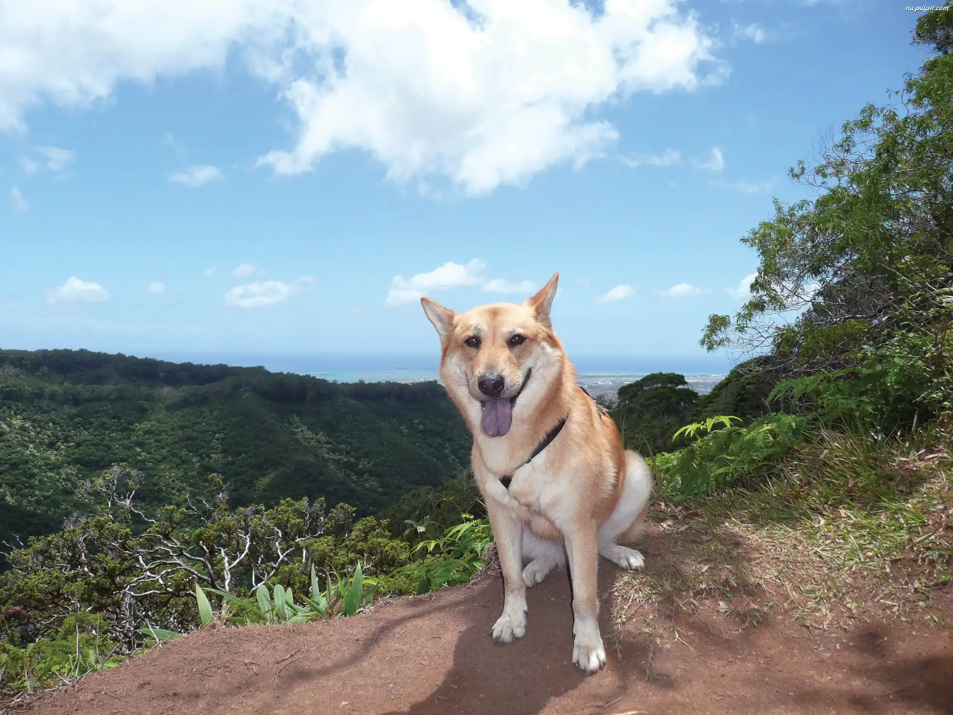 niebo, Jindo, niebieskie